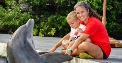 Florida Keys: Dockside Dolphin Experience - Dockside Interaction: Feeding, Play, and How Trainers Guide You