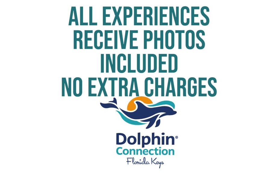 Florida Keys: Dockside Dolphin Experience - Photos Without Stress: Camera Rules and Included Memory-Making