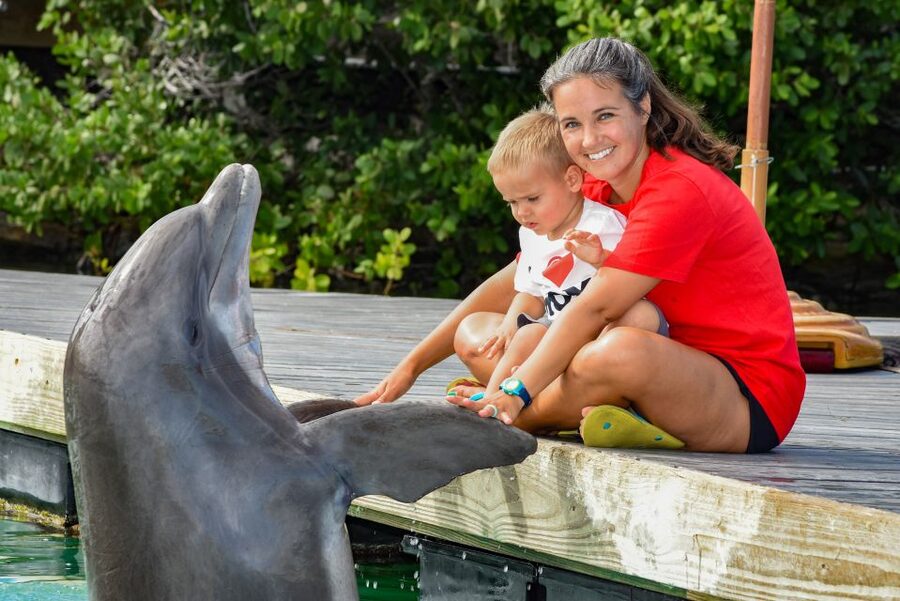 Florida Keys: Dockside Dolphin Experience - Practical Checklist: What to Bring and What to Leave Behind