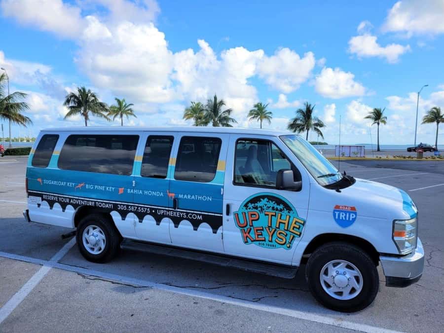 Florida Keys: Dolphin Research Center Day Tour with Lunch - A South Keys Day Plan That Blends Wildlife and Views
