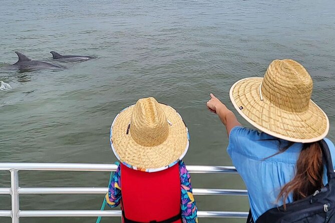 Folly Beach Dolphin Viewing Boat Excursion and Estuary Tour - First Stop: Where Your Folly Beach Dolphin Tour Starts