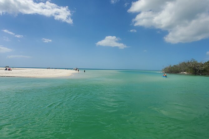 Fort Myers Beach Dolphin & Sightseeing Tour Refreshments Included - Who should book this Fort Myers Beach cruise?