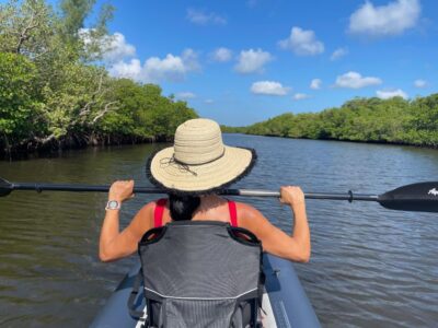 Fort Pierce: 4-hr Mangroves & Dolphin Watch Sandbar in FL - The 4-mile route: 2 miles of paddling, 2 miles with electric help