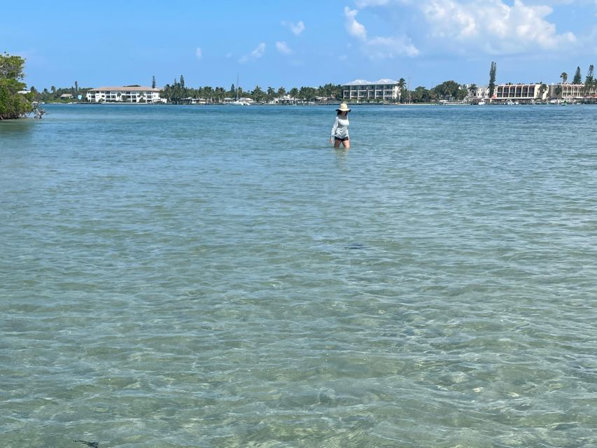 Fort Pierce: 4-hr Mangroves & Dolphin Watch Sandbar in FL - Wildlife spotting in calm lagoon waters (and what to do when you see movement)