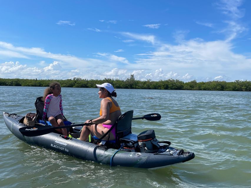Fort Pierce: 4-hr Mangroves & Dolphin Watch Sandbar in FL - Price and value: is $89 a good deal for 4 hours?