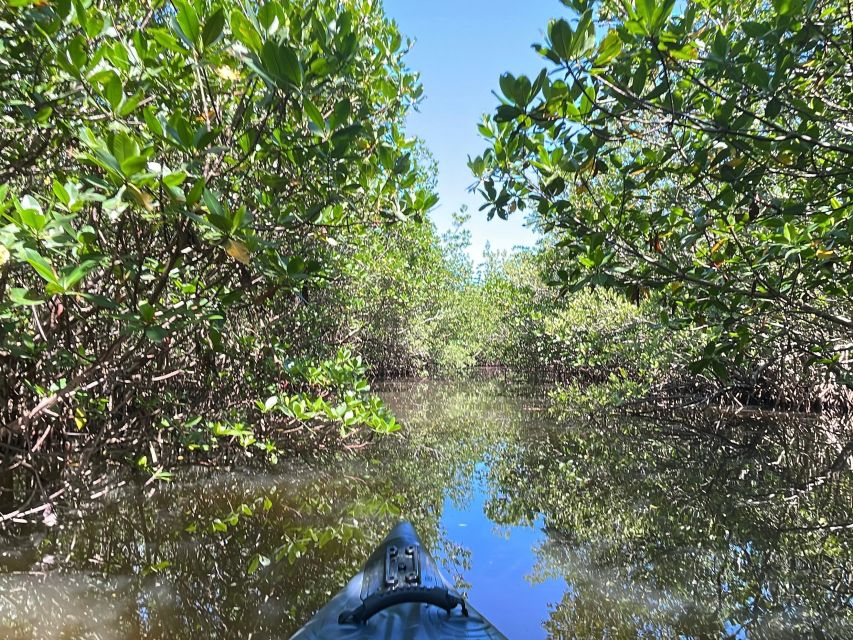 Fort Pierce: 4-hr Mangroves & Dolphin Watch Sandbar in FL - Who should book this mangroves and dolphin watch kayak tour?