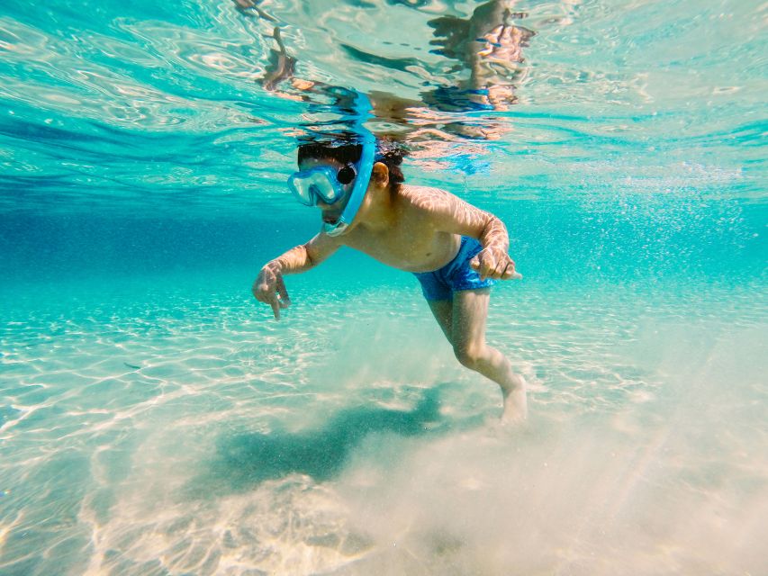 Fort Walton Beach: Morning Dolphin Cruise with Snorkel Stop - Key Things That Make This Cruise Worth Your Morning