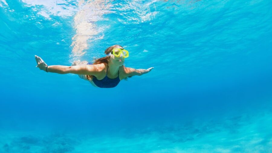 Fort Walton Beach: Morning Dolphin Cruise with Snorkel Stop - Marine Life Highlights You Can Reasonably Hope For