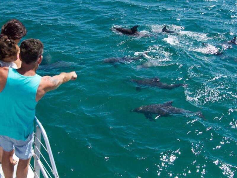Fort Walton: Dolphin Discovery and Snorkeling Cruise - Should you book this dolphin discovery and snorkeling cruise?