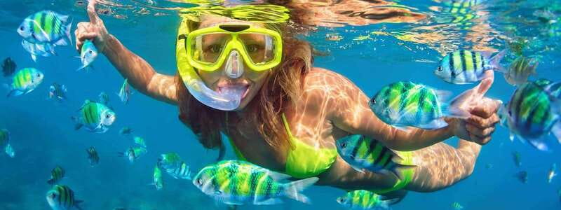 Fort Walton: Dolphin Discovery and Snorkeling Cruise - A 3-hour Gulf Coast plan that feels personal
