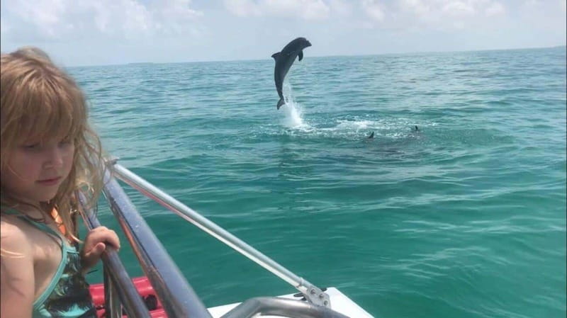Fort Walton: Dolphin Discovery and Snorkeling Cruise - What to bring for a comfortable Gulf swim