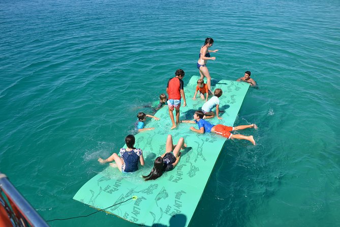 Fraser Island & Dolphin Sailing Adventure - Quick hits for this Hervey Bay dolphin cruise