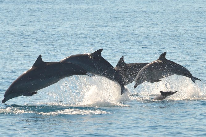 Fraser Island & Dolphin Sailing Adventure - Where you’ll be: Hervey Bay’s Great Sandy Strait and K’gari