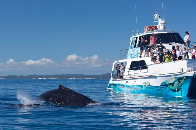 Fraser Island & Dolphin Sailing Adventure - Stop 3 in Great Sandy National Park: a beach break that fits the schedule