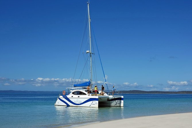 Fraser Island & Dolphin Sailing Adventure - Dolphins, dugongs, turtles: how to set expectations for wild spotting