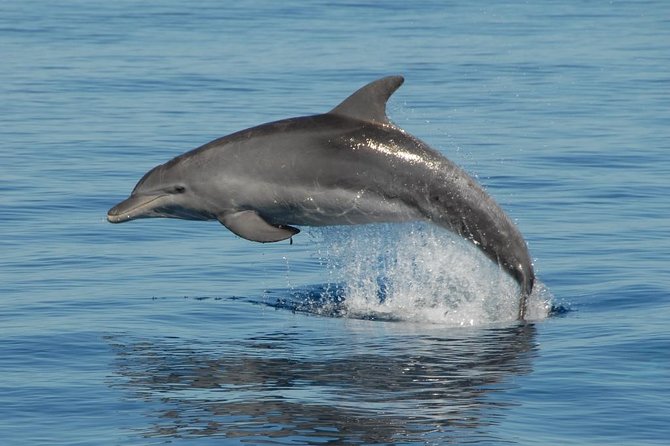 Fraser Island & Dolphin Sailing Adventure - The practical morning flow (and why it’s set up this way)