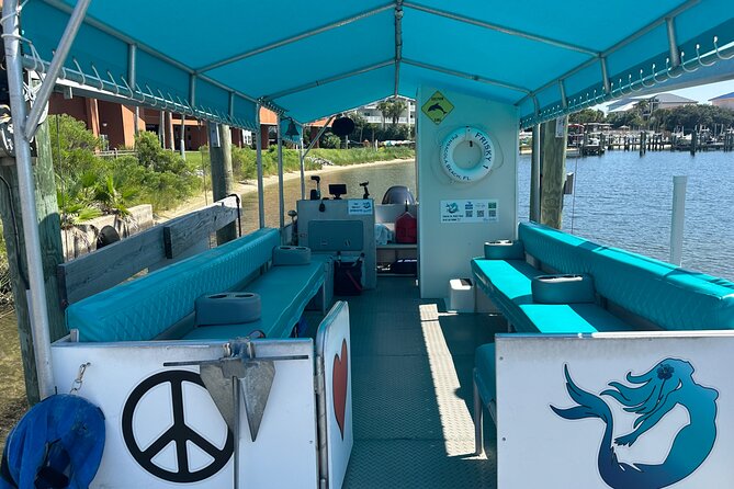 Frisky Mermaid Dolphin Tour + Secluded Beach + Equip - Key Highlights to Know Before You Go