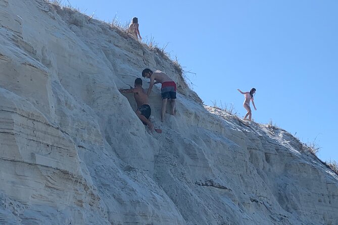 Frisky Mermaid Dolphin Tour + Secluded Beach + Equip - What You’re Likely to See During Dolphin-Watching