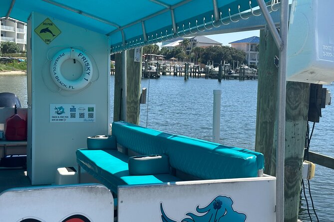 Frisky Mermaid Dolphin Tour + Secluded Beach + Equip - Time on the Water vs. Value of a Private Group