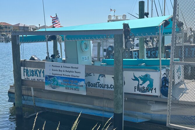 Frisky Mermaid Dolphin Tour + Secluded Beach + Equip - Meeting Point, Getting There, and What to Expect When You Arrive