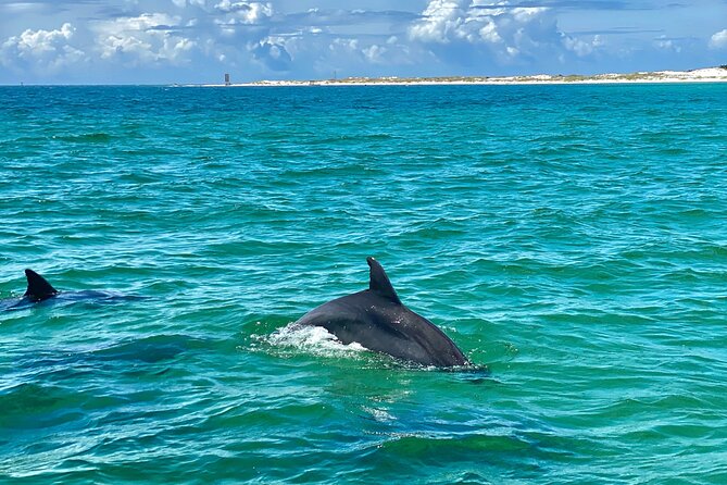 Frisky Mermaid Dolphin Tour + Secluded Beach + Equip - USCG Captain and the On-Board Style That Makes a Difference