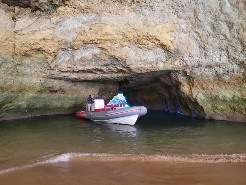From Albufeira: Benagil Caves and Dolphins Guided Boat Tour - Dolphin watching on purpose: how the skipper searches pods