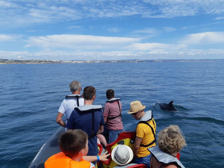 From Albufeira: Benagil Caves and Dolphins Guided Boat Tour - Should you book this Benagil Caves and Dolphins Tour?