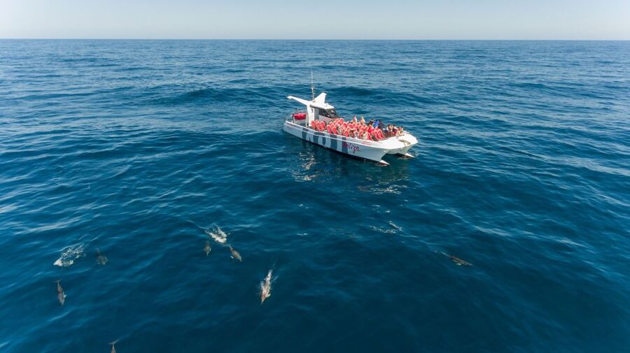 From Albufeira: Dolphins and Caves 2.5-Hour Boat Trip - From Albufeira Marina to Open Water: What the Ride Feels Like