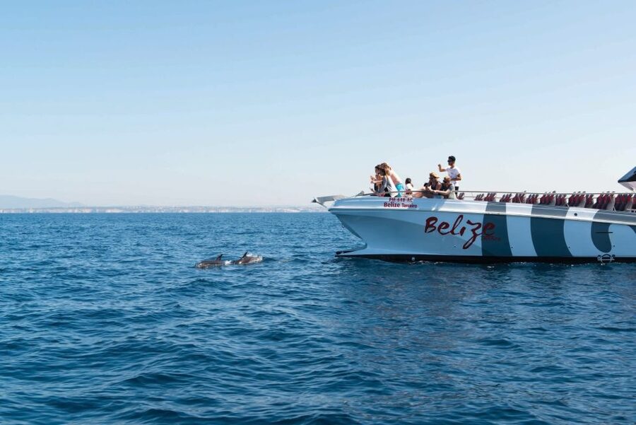 From Albufeira: Dolphins and Caves 2.5-Hour Boat Trip - Should You Book the Dolphins and Caves 2.5-Hour Boat Trip?