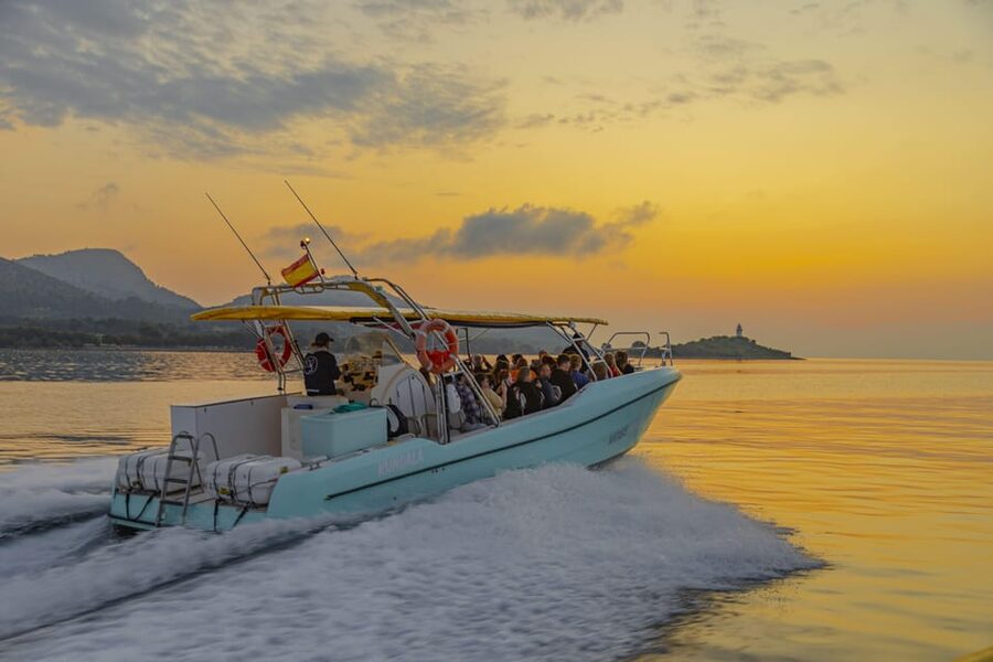 From Alcudia: Sunrise Dolphin Watching Boat Tour - The dolphin encounter: what the guide adds (and how respect shows up)
