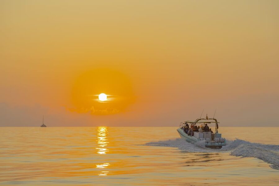 From Alcudia: Sunrise Dolphin Watching Boat Tour - Sunrise on the water: music, timing, and weather reality