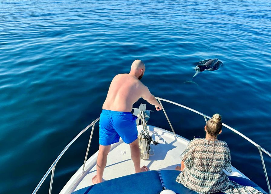 From Benalmádena & Torremolinos: Dolphin Watch Boat Trip - Practical tips to avoid the common headaches