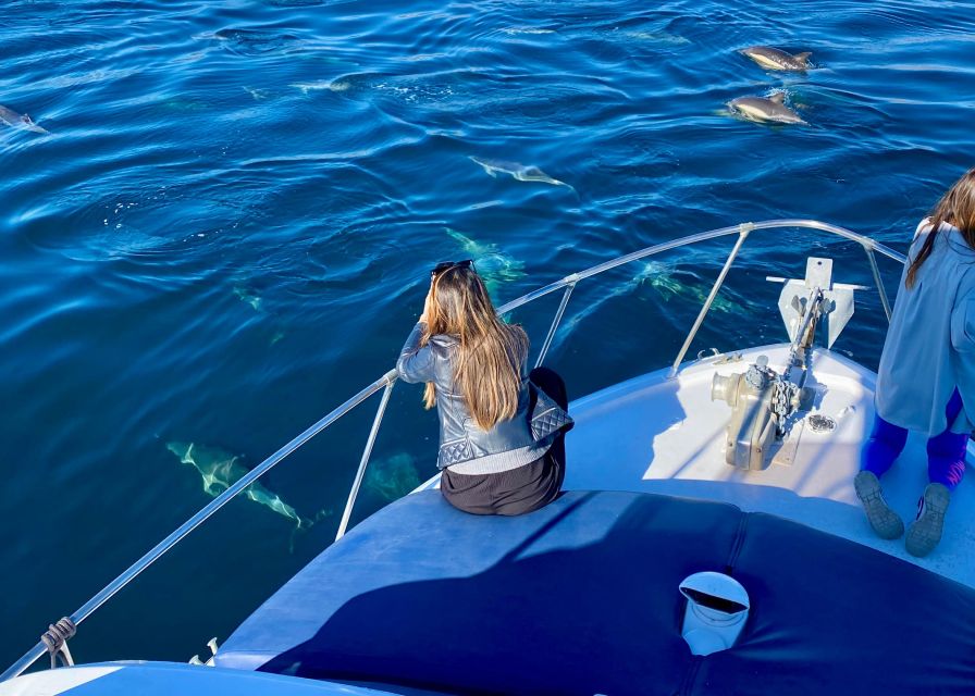 From Benalmádena & Torremolinos: Dolphin Watch Boat Trip - The vibe: dolphin watching without the long day