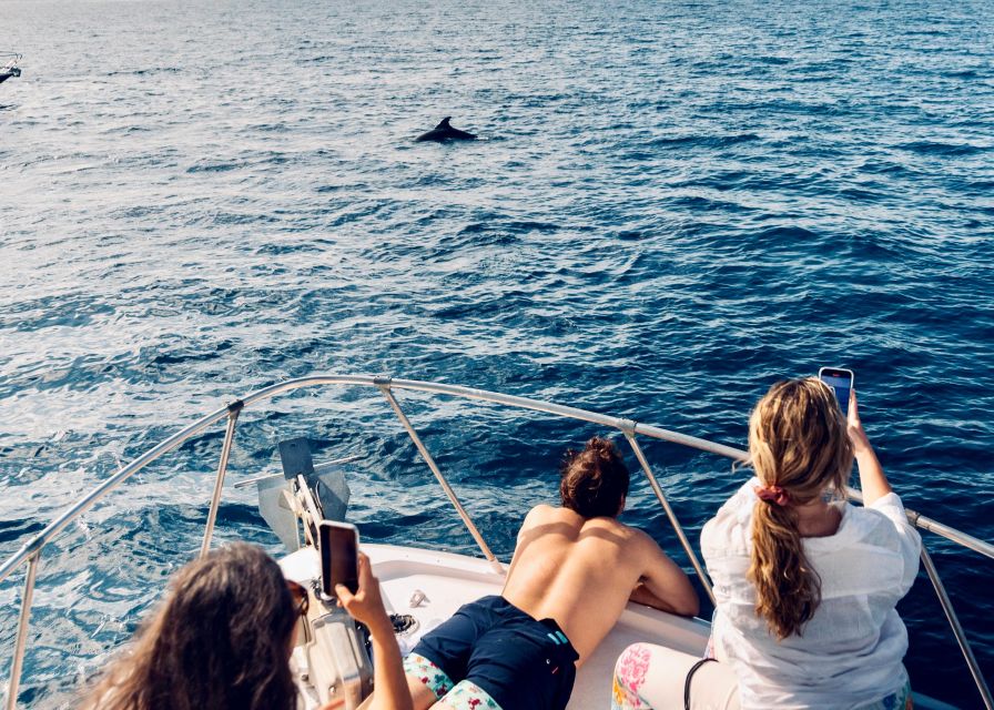 From Benalmádena & Torremolinos: Dolphin Watch Boat Trip - Dolphins, music, and real-world expectations