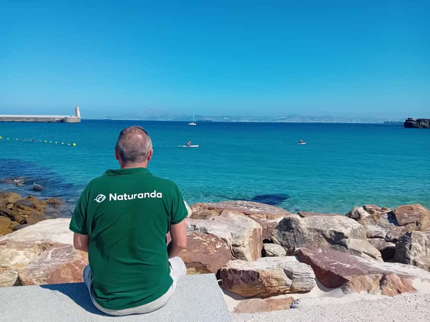 From Cádiz Bay: Tarifa Dolphin Watching Tour - Key Highlights You’ll Actually Care About