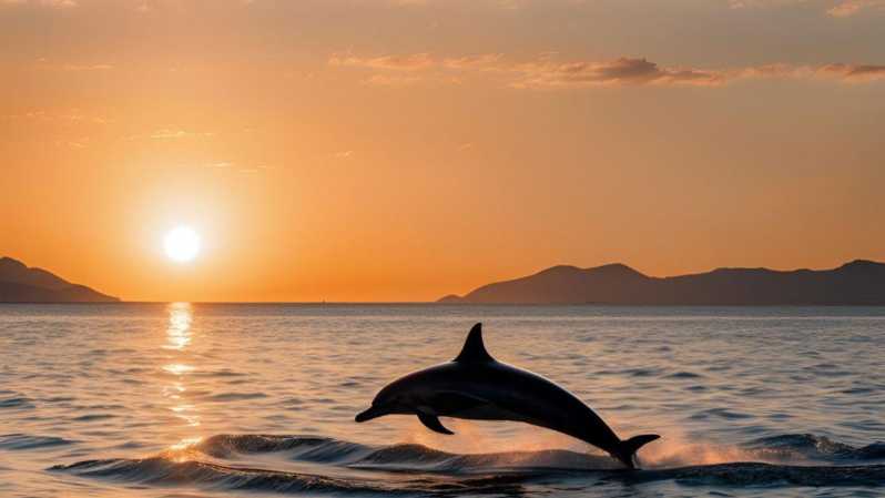 From Cagliari: sunset dolphin watching tour - Why This Sunset Dolphin Tour Works From Cagliari