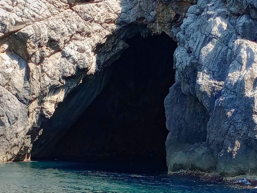 From Can Picafort: Dolphin Watching and Cave Boat Trip - What to Bring (and What to Skip)