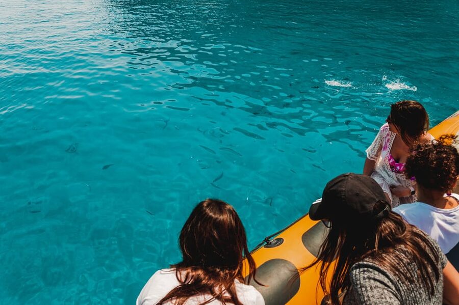From Can Picafort: Dolphin Watching and Cave Boat Trip - North Mallorca on a Small Boat: What Makes This Trip Work