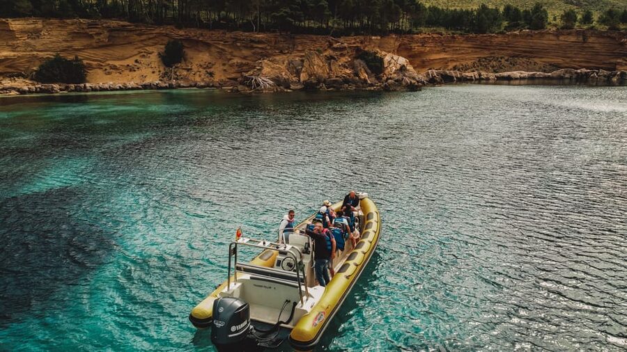From Can Picafort: Dolphin Watching and Cave Boat Trip - The Dolphin-Spotting Part: Where the Captain’s Skill Shows