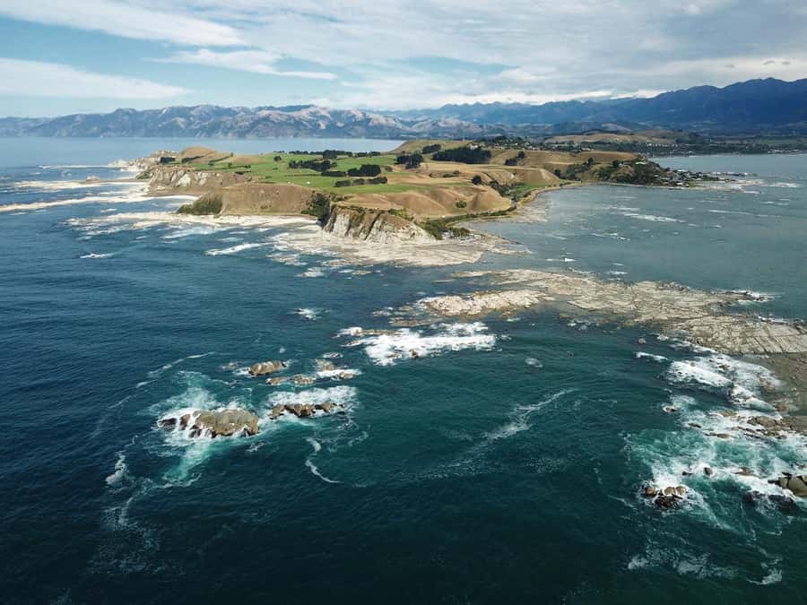 From Christchurch: Kaikōura Day Tour With Dolphin Encounter - Key things that make this Kaikōura dolphin day work