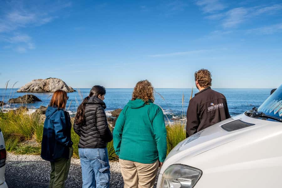 From Christchurch: Kaikōura Day Tour With Dolphin Encounter - Waipara wine tasting: a quick stop, and timing is everything