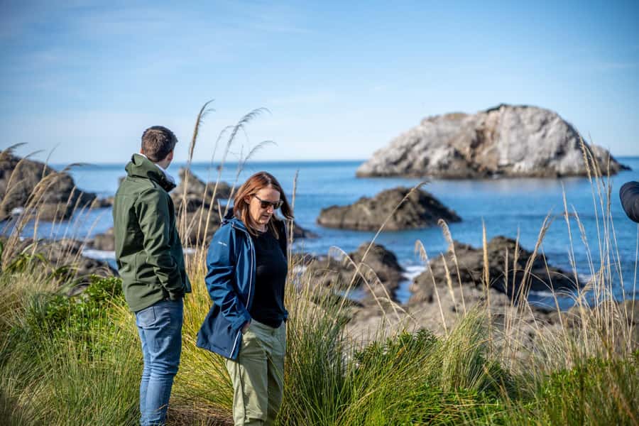 From Christchurch: Kaikōura Day Tour With Dolphin Encounter - Kaikōura arrival: photo stop, town time, then straight to food and wildlife