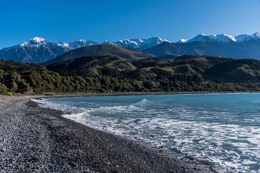 From Christchurch: Kaikōura Day Tour With Dolphin Encounter - Fish and chips lunch plus Kiwi snacks: the fuel you’ll be glad you planned
