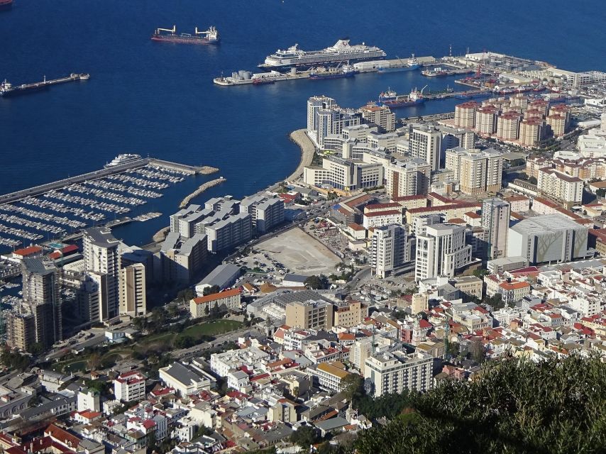 From Costa del Sol: Gibraltar Dolphin Watching by Boat - Price and value: when $106 makes sense