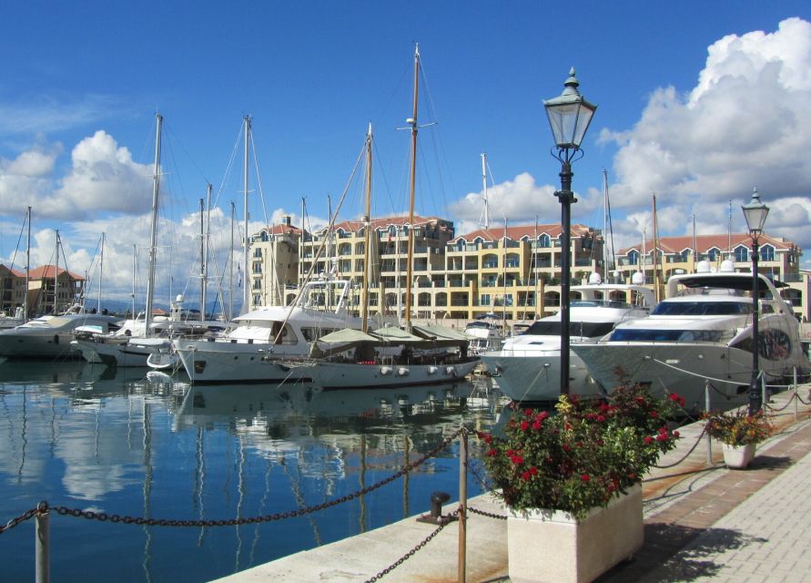 From Costa del Sol: Gibraltar Dolphin Watching by Boat - Guides and onboard commentary: the difference between good and great