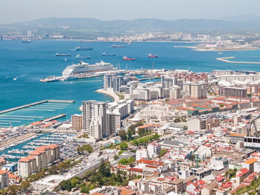 From Costa del Sol: Gibraltar Dolphin Watching by Boat - The Costa del Sol coach ride: comfortable, but plan for extra minutes