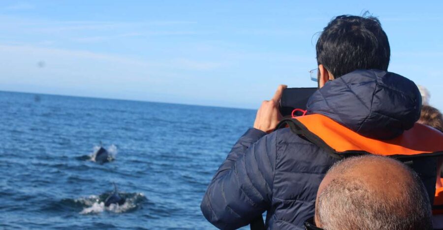 From Faro: Dolphin Watching & 2 Islands Tour - Key Points You’ll Care About