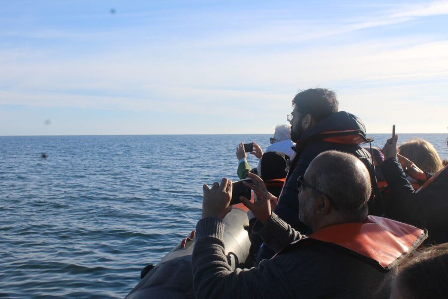 From Faro: Dolphin Watching & 2 Islands Tour - Ria Formosa + Atlantic: Why This Combo Works So Well