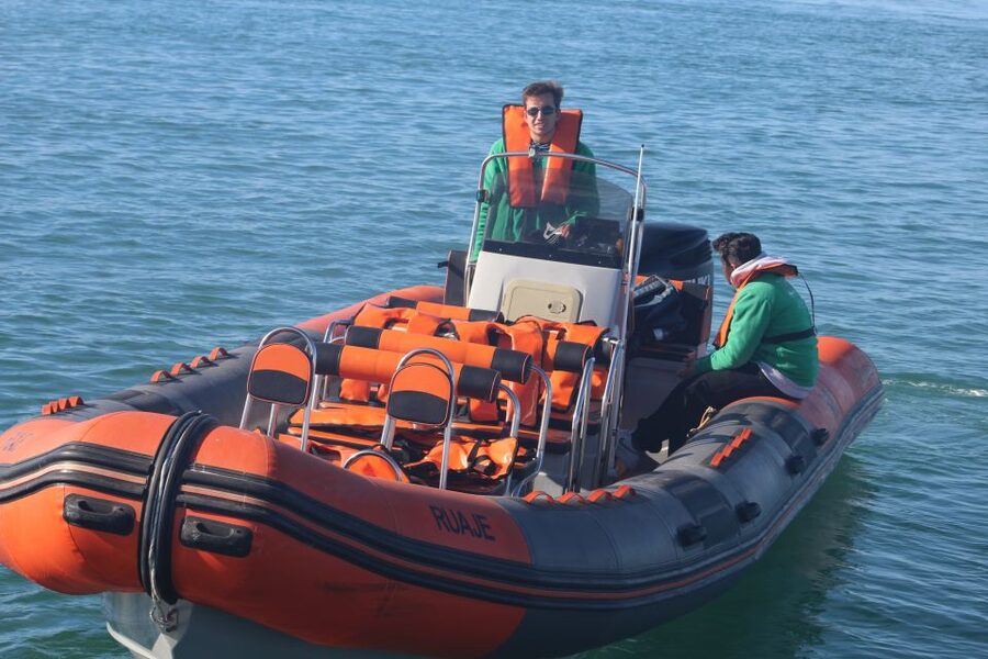 From Faro: Dolphin Watching & 2 Islands Tour - From Cais da Porta Nova to Cabo de Santa Maria: Deck Views and Wildlife Spotting