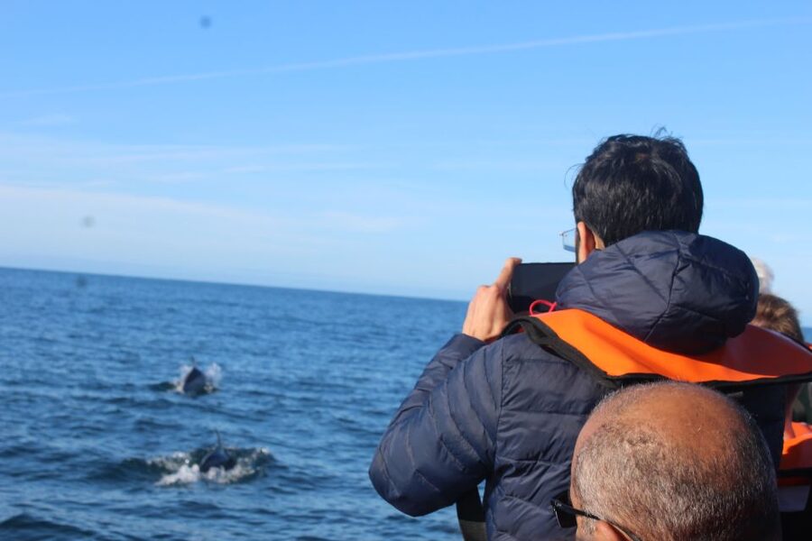 From Faro: Dolphin Watching & 2 Islands Tour - Dolphin Watching That Can Be Magical (But Not Always Guaranteed)